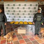 Caninos de la Policía detectan 20 kilos de cocaína ocultos en una encomienda enviada a Medellín