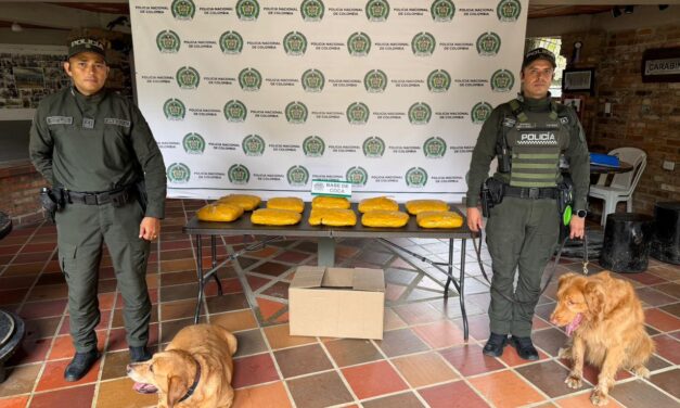 Caninos de la Policía detectan 20 kilos de cocaína ocultos en una encomienda enviada a Medellín