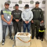 Capturan en Medellín a hombre que transportaba 15 partes de iguana para consumo humano