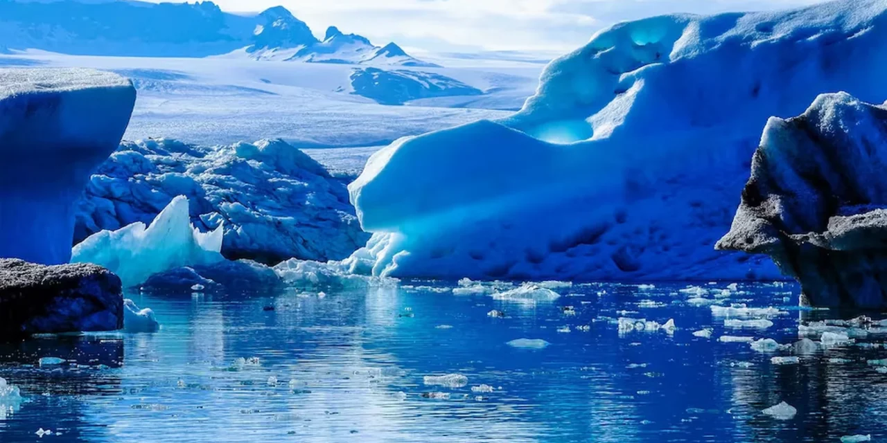 Nuevas especies marinas en la Antártida: muestras del RSV Nuyina abren una línea de estudio cerca del glaciar Denman