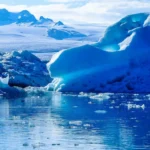 Nuevas especies marinas en la Antártida: muestras del RSV Nuyina abren una línea de estudio cerca del glaciar Denman