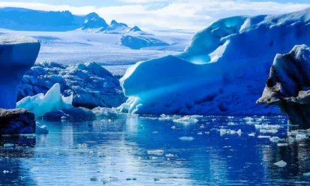 Nuevas especies marinas en la Antártida: muestras del RSV Nuyina abren una línea de estudio cerca del glaciar Denman