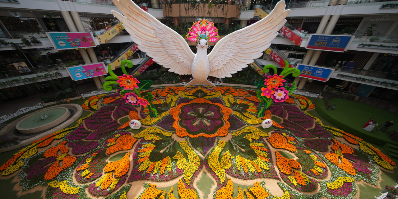 Tapete de Flores de Santafé Medellín vuelve con más de 220.000 flores y un mensaje por la paz