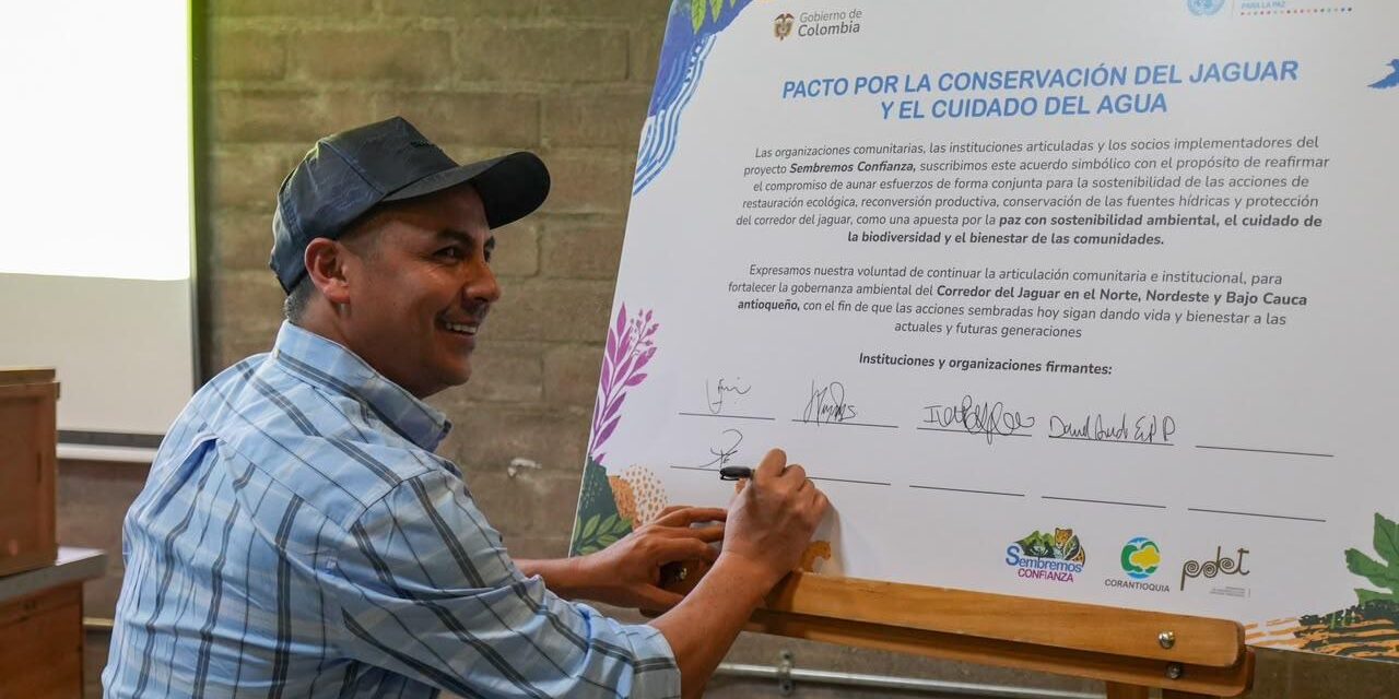Identifican corredor biológico de más de 52.000 hectáreas para proteger al jaguar en Antioquia