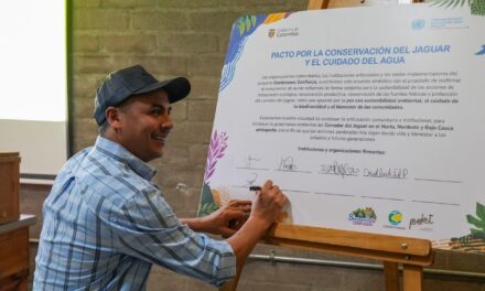 Identifican corredor biológico de más de 52.000 hectáreas para proteger al jaguar en Antioquia