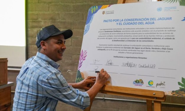 Identifican corredor biológico de más de 52.000 hectáreas para proteger al jaguar en Antioquia