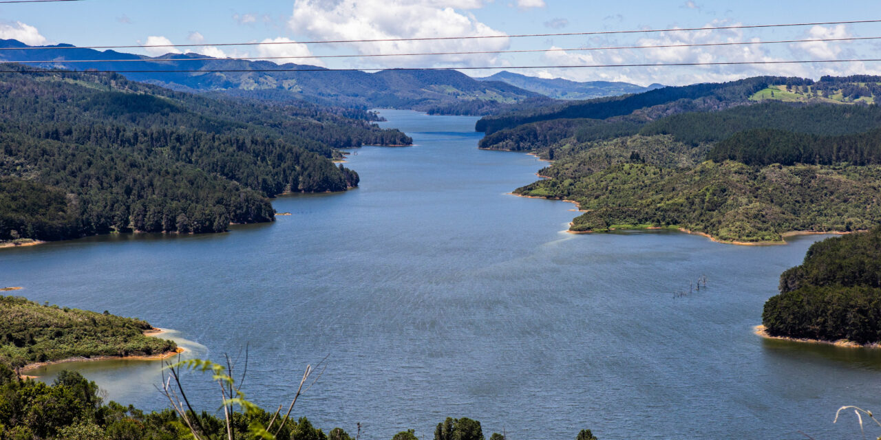 LactoFest impulsará el desarrollo del sector lácteo y la economía del norte de Antioquia