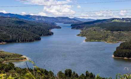 LactoFest impulsará el desarrollo del sector lácteo y la economía del norte de Antioquia