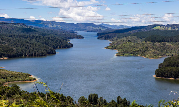 LactoFest impulsará el desarrollo del sector lácteo y la economía del norte de Antioquia