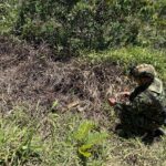 Ejército destruye dos artefactos explosivos abandonados en un camino rural de Anorí