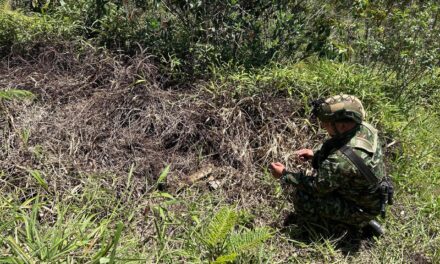Ejército destruye dos artefactos explosivos abandonados en un camino rural de Anorí