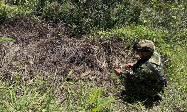 Ejército destruye dos artefactos explosivos abandonados en un camino rural de Anorí
