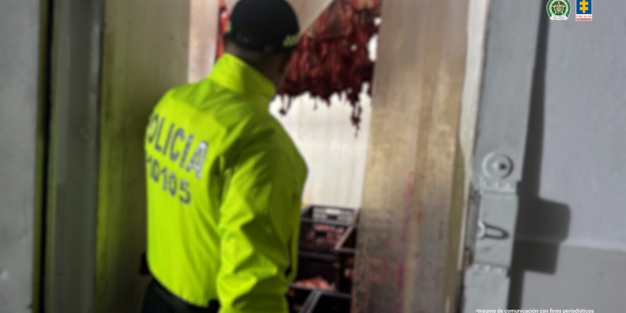 Desmantelan presunta red que comercializaba carne de caballo como si fuera carne de res en Bucaramanga