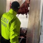 Desmantelan presunta red que comercializaba carne de caballo como si fuera carne de res en Bucaramanga