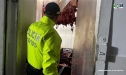 Desmantelan presunta red que comercializaba carne de caballo como si fuera carne de res en Bucaramanga