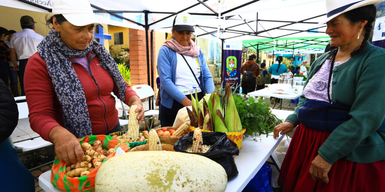 El giro del Ecuador rural: cuyes, leche, café y agua potable vencen pobreza y desnutrición