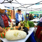 El giro del Ecuador rural: cuyes, leche, café y agua potable vencen pobreza y desnutrición