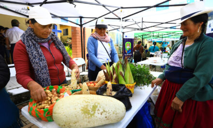 El giro del Ecuador rural: cuyes, leche, café y agua potable vencen pobreza y desnutrición