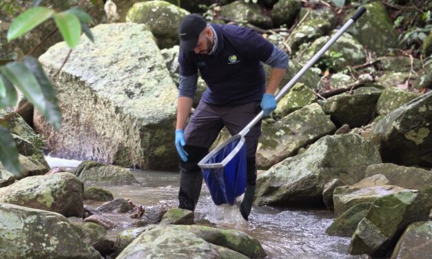 Corantioquia alerta por bajos niveles del río Magdalena y pide medidas preventivas en Antioquia