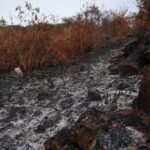 Alerta en Colombia por aumento de incendios forestales: prohíben quemas agrícolas ante el Fenómeno de El Niño