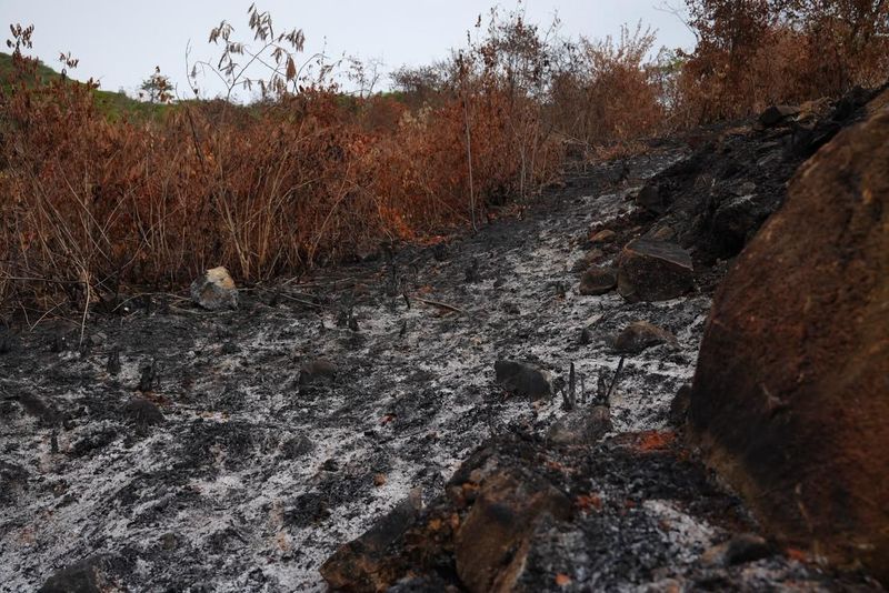 Alerta en Colombia por aumento de incendios forestales: prohíben quemas agrícolas ante el Fenómeno de El Niño