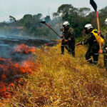 Incendios en Tolima: controlan fuego en Gualanday y mantienen vigilancia sobre gasoducto