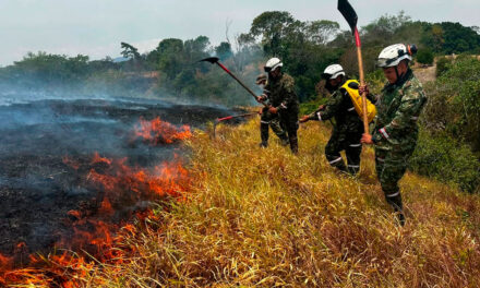 Incendios en Tolima: controlan fuego en Gualanday y mantienen vigilancia sobre gasoducto