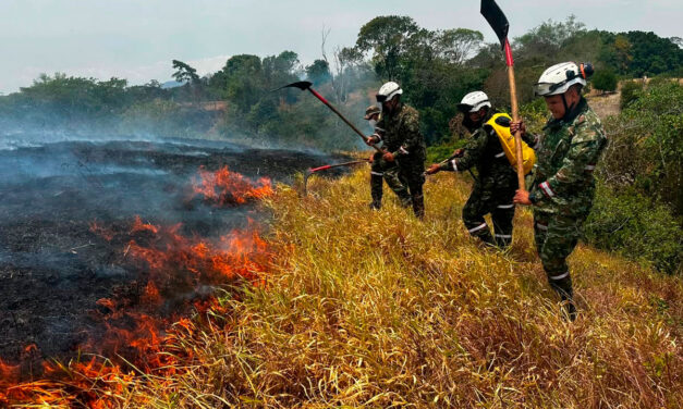 Incendios en Tolima: controlan fuego en Gualanday y mantienen vigilancia sobre gasoducto