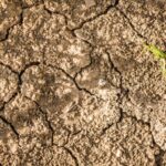 Fenómeno de El Niño podría aumentar la presión sobre el agua, la energía y la economía en Colombia