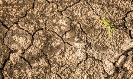 Fenómeno de El Niño podría aumentar la presión sobre el agua, la energía y la economía en Colombia