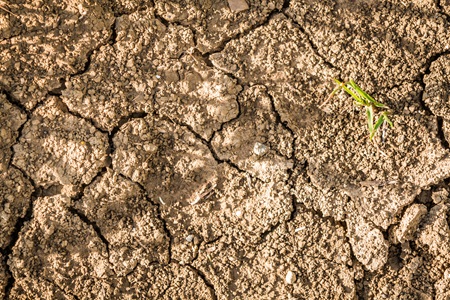 Fenómeno de El Niño podría aumentar la presión sobre el agua, la energía y la economía en Colombia