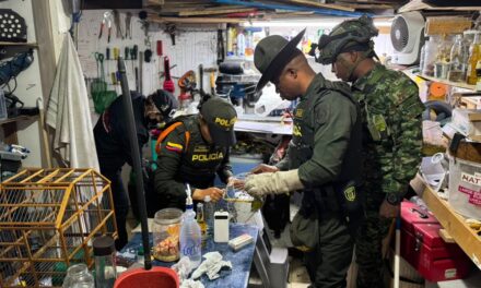 Rescatan 30 aves y una tortuga que permanecían en cautiverio en una vivienda de Medellín