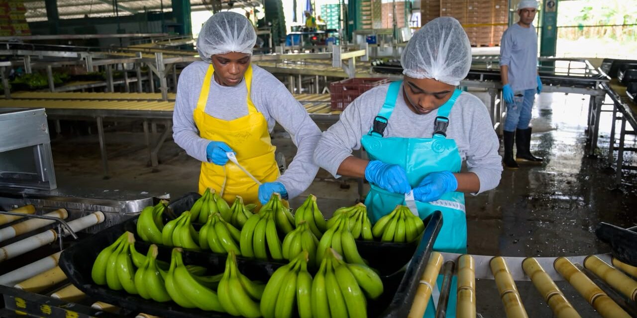 Antioquia amplía programa de empleo para mujeres y llegará a las nueve subregiones