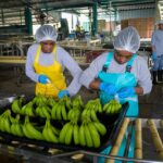 Antioquia amplía programa de empleo para mujeres y llegará a las nueve subregiones