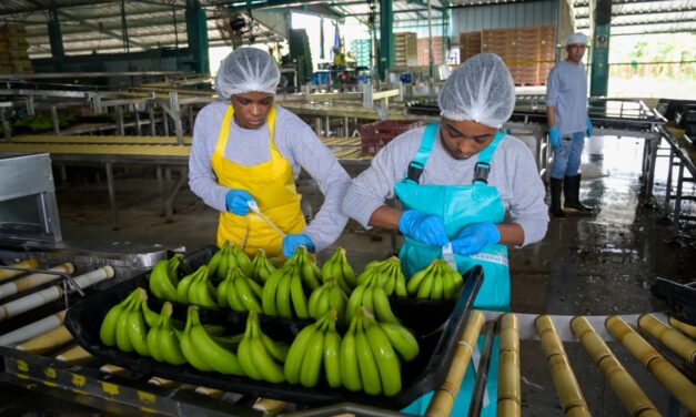 Antioquia amplía programa de empleo para mujeres y llegará a las nueve subregiones