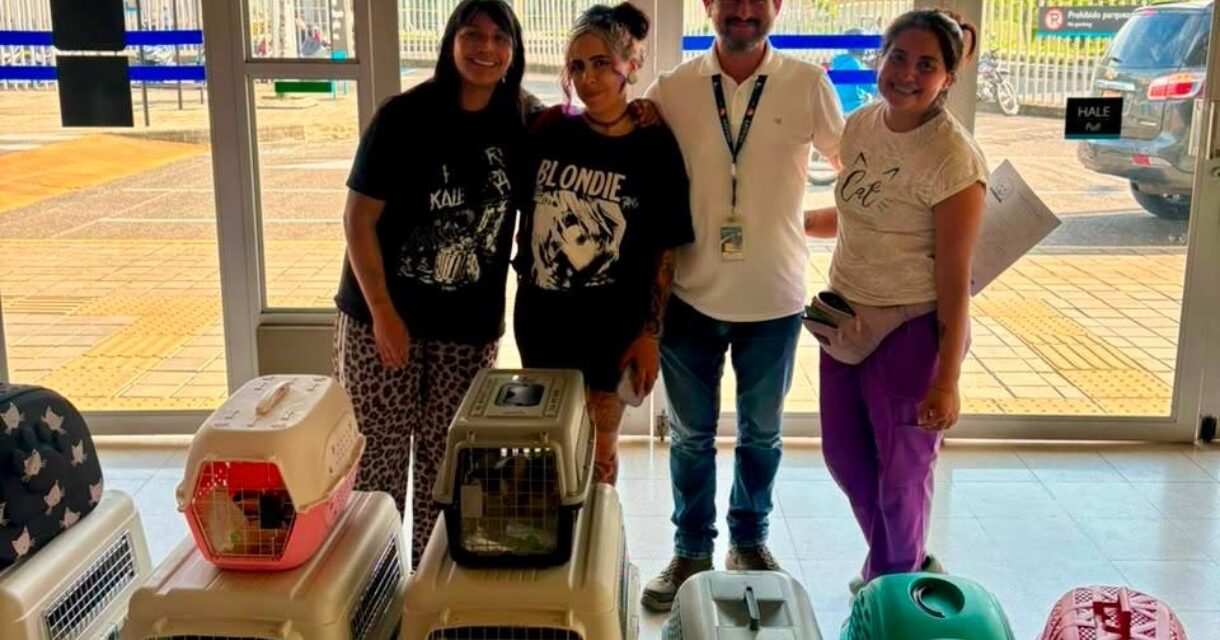 Conectividad aérea facilita el traslado de medicamentos y animales rescatados entre Bogotá y Quibdó