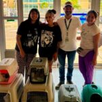 Conectividad aérea facilita el traslado de medicamentos y animales rescatados entre Bogotá y Quibdó