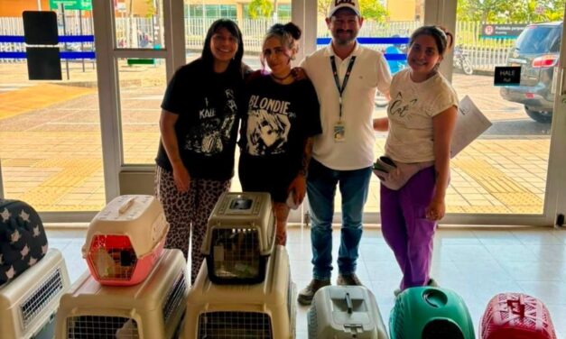 Conectividad aérea facilita el traslado de medicamentos y animales rescatados entre Bogotá y Quibdó