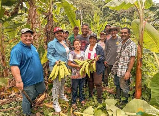 Zona de Reserva Campesina Río Cafre: 820 familias de Puerto Rico, Meta, fortalecen su apuesta por el desarrollo rural