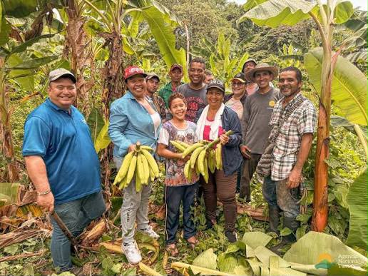 Zona de Reserva Campesina Río Cafre: 820 familias de Puerto Rico, Meta, fortalecen su apuesta por el desarrollo rural