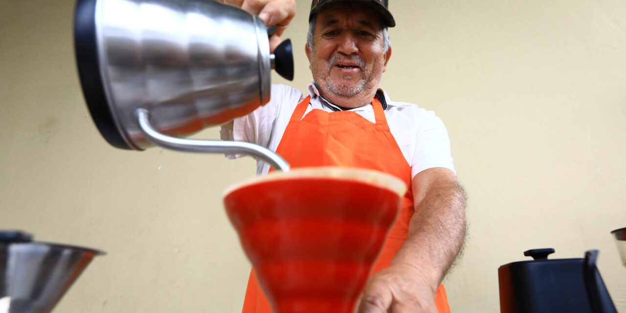Estados Unidos concentra casi siete de cada diez exportaciones mexicanas de café