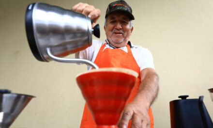 Estados Unidos concentra casi siete de cada diez exportaciones mexicanas de café