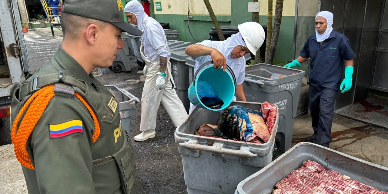 Incautan y destruyen más de una tonelada de carne de cerdo en Bello