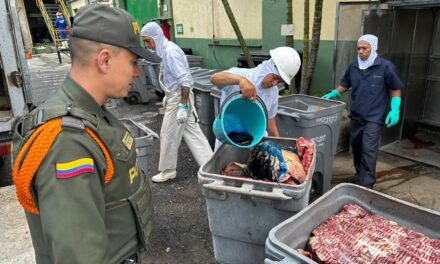 Incautan y destruyen más de una tonelada de carne de cerdo en Bello