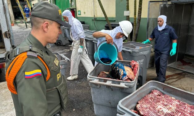 Incautan y destruyen más de una tonelada de carne de cerdo en Bello