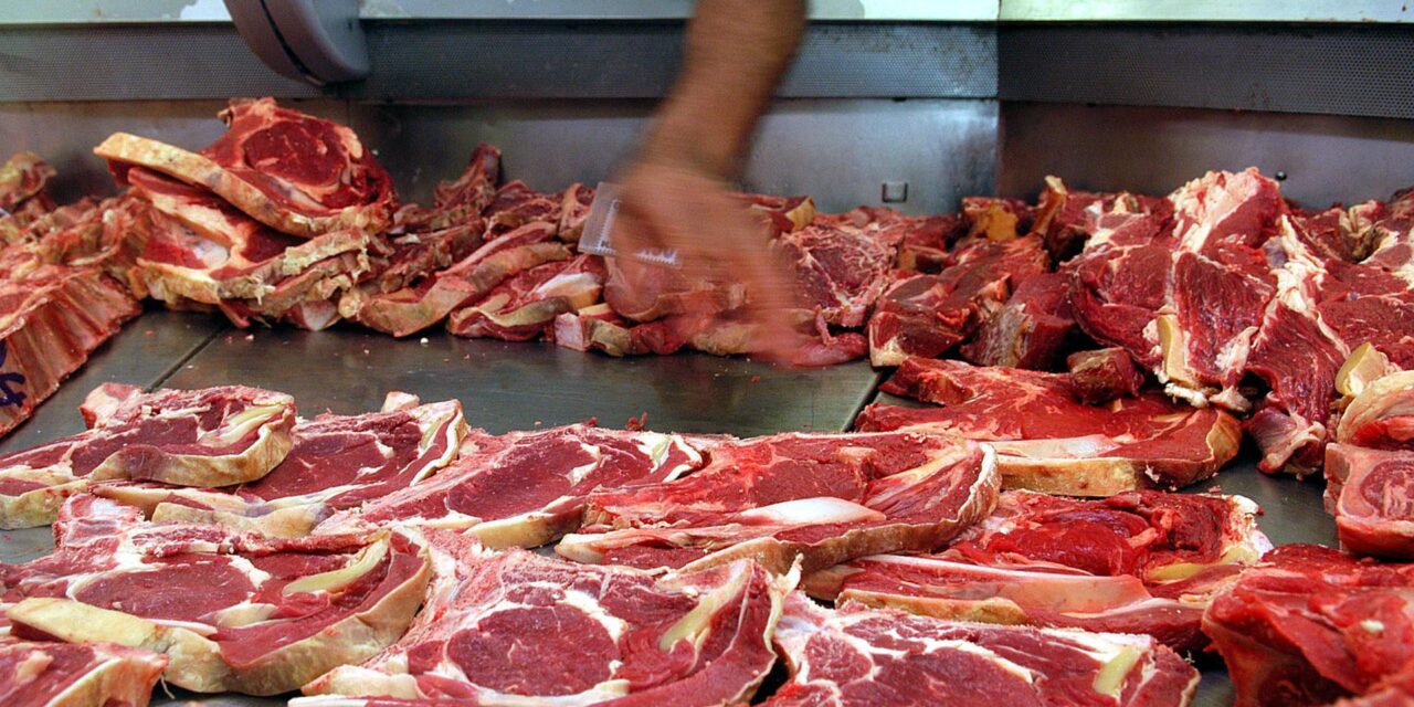 Las plantas procesadoras de carne son vitales para impulsar la pecuaria verde en Brasil