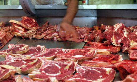 Las plantas procesadoras de carne son vitales para impulsar la pecuaria verde en Brasil