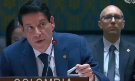 Gaona fija en la ONU la posición de Colombia sobre Irán