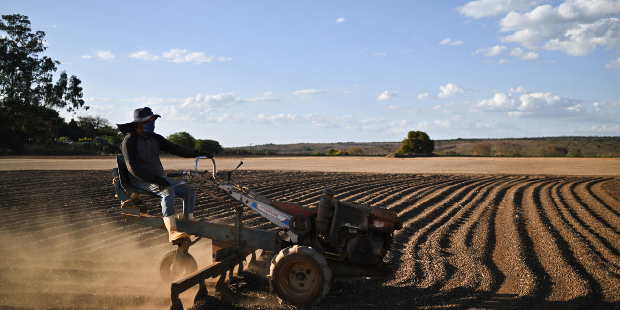Brasil quiere crecer en Europa con alimentos de valor añadido y agricultura familiar