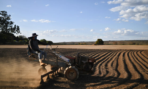 Brasil quiere crecer en Europa con alimentos de valor añadido y agricultura familiar